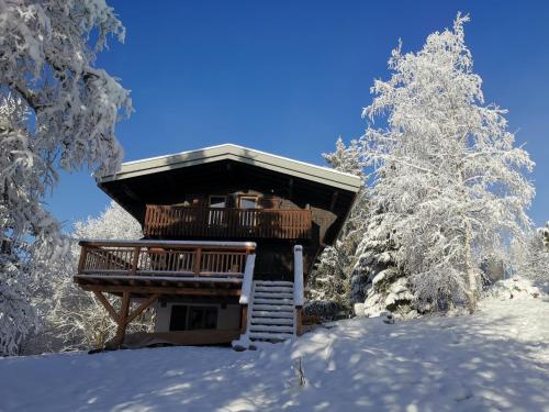 Chalet montagne au pied des pistes