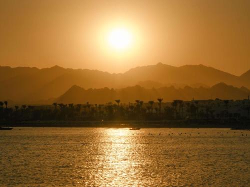 Movenpick Resort Sharm el Sheikh Room Type - Duplex Villa - Sea View