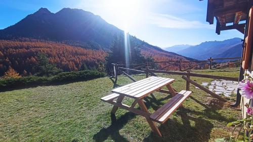 Résidence Alpages Bellevue - Superbe studio au calme, avec jardin et vue magnifique MAE-5241