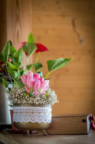 Plai cu Peri - image 6
