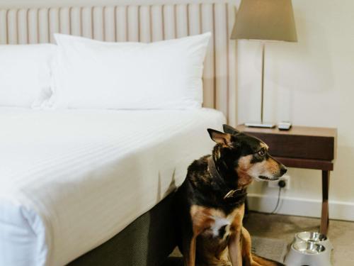 1 king bed