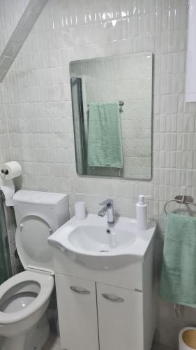 Mags Studio Zemun