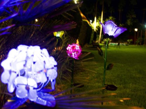 Delos Reyes Palm Springs - image 5