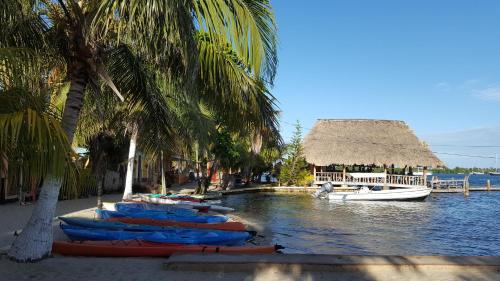 ทัศนียภาพ, Alan's Paradise Hotel in พลาเซนเซีย