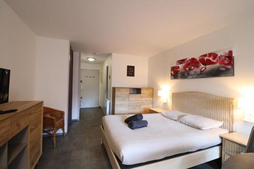 Appartement Belle étoile - Cure, ski & spa