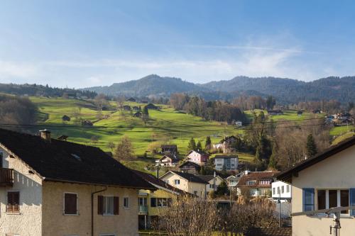 Superior Apartment Sarnen - image 12