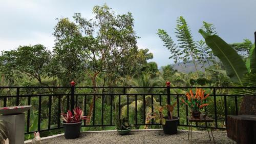 Garden, Sinharaja Green Mountain Retreat in Siharaja