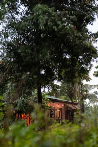 Sinharaja Green Mountain Retreat in Siharaja