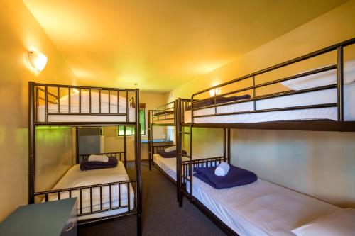 Bed in 6-Bed Mixed Dormitory Room