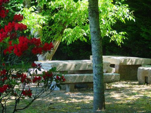 Casa das Torres da Facha