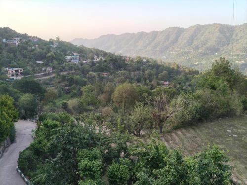 Himalayan Dreams - image 3