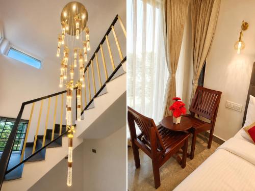 DayLight Aurelia Hills - image 5