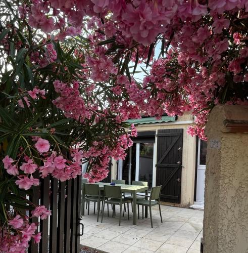 Villa avec jardin proche plage