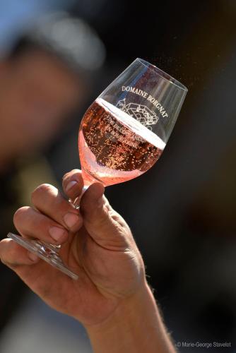 Domaine Borgnat - image 4