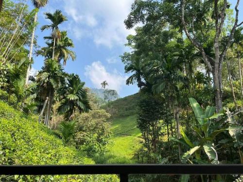 Surrounding environment, Zenvora Rainforest Villa in Siharaja