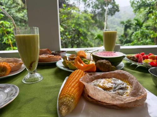 Zenvora Rainforest Villa in Siharaja