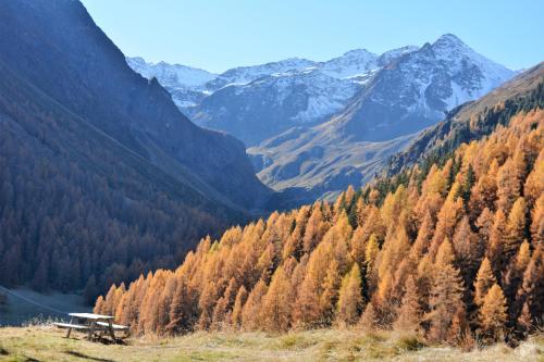 A környék, Haus Sonnenalm in St. Sigmund Im Sellrain