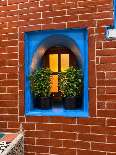 Riad Mosaic - image 5