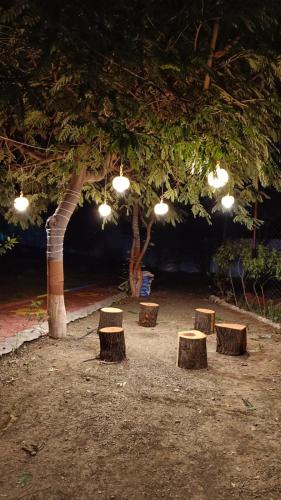 Royal Resort in Mhow