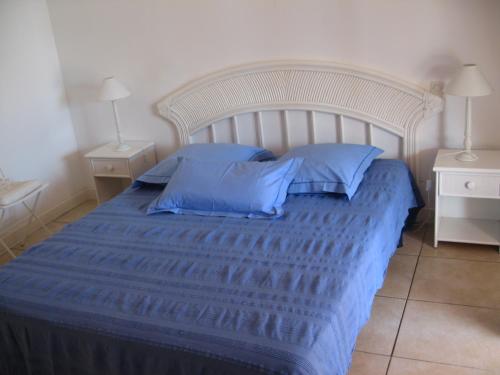 Les Palmiers photo 16