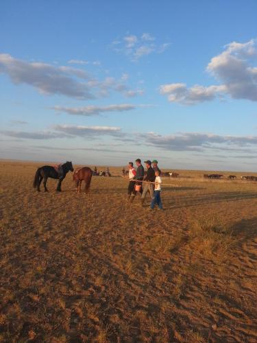 Vast Mongolia Tour & Hostel