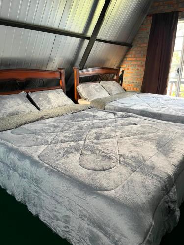 Alpine cabin with private pool in Capiata