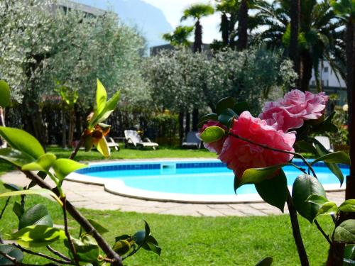 Residence Villa degli Aranci 4