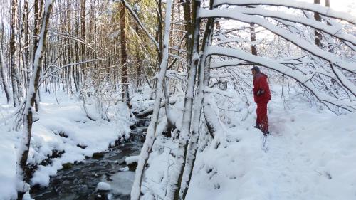 Gite des Bois de Spa