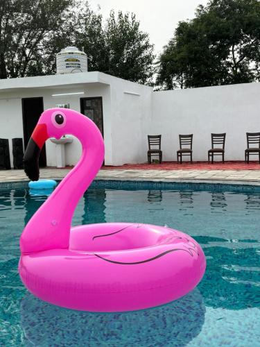 Luxury Resort near DELHI - image 5