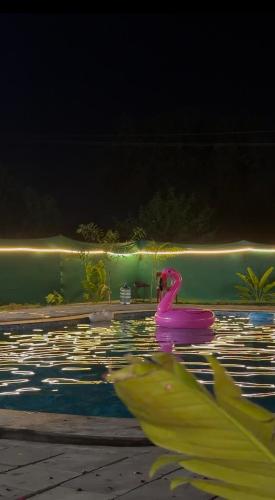 Luxury Resort near DELHI - image 2
