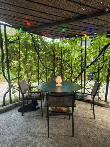 la cabane - Location saisonnière - Sommières