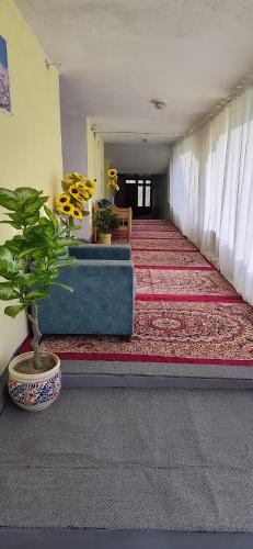 T- Suru - image 2