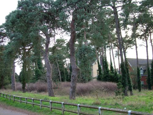 Thistle Cottage - image 13