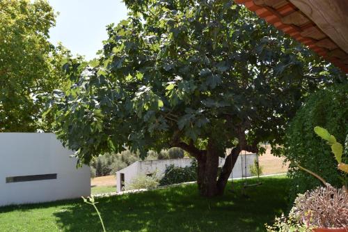 Quinta da Aurora