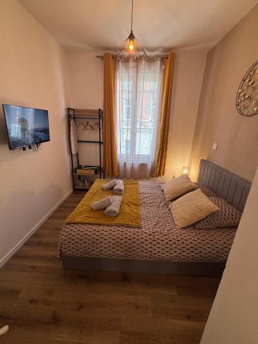 studio élégant et chic au cœur de valenciennes - Location saisonnière - Valenciennes
