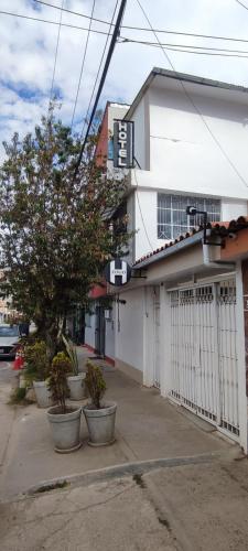 Zogo Hotel