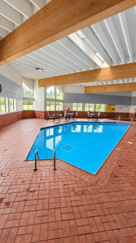 Úszómedence, Super 8 By Wyndham Wisconsin Dells in Wisconsin Dells