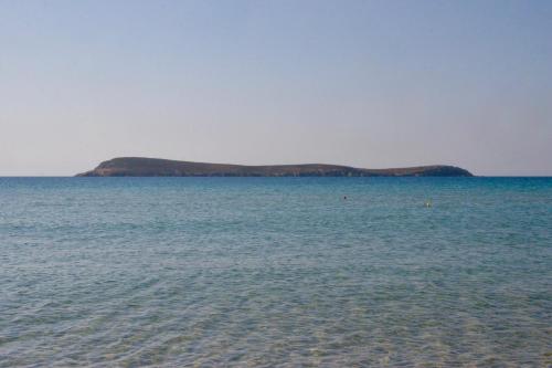 Porto Paradiso - image 2