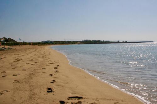 Porto Paradiso - image 5