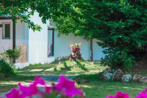 Coral Blue Beach Hotel Gerakini - main image