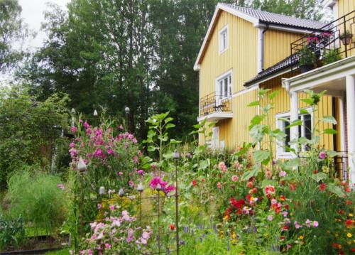 Det gamla bageriet i Moliden