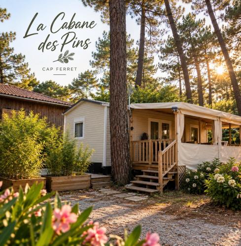 La cabane des pins