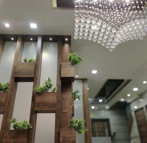 Hoxtels new fifty-six near golden temple
