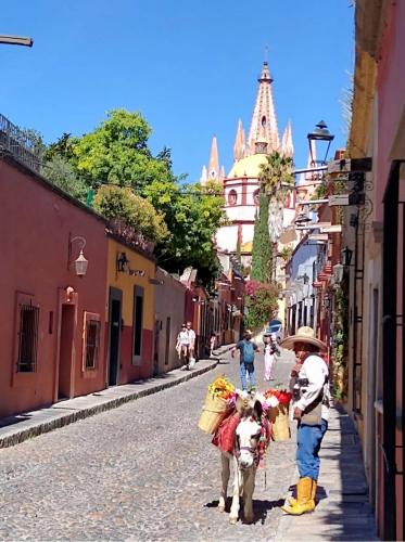 Casa Alegria - House of Joy