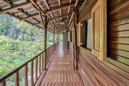 Casa Verde + Contiki - image 5