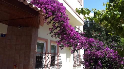 Seda Apart Hotel - image 4