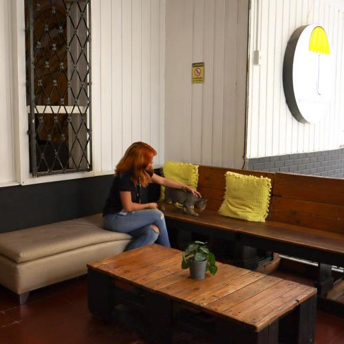 Facilities, Yellow Umbrella Hostels near Baseline Restaurant