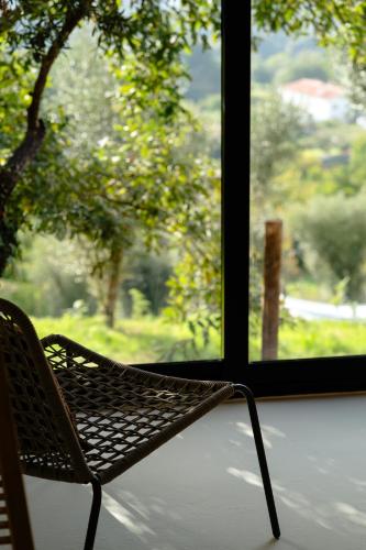 Quinta do Socalco in Vila Praia De Ancora