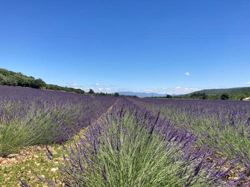 Közeli látványosságok, Gîte avec spa privatif et flipper Sud de la France (Gite avec spa privatif et flipper Sud de la France) in Les Granges-Gontardes