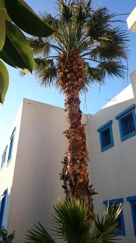Amazones Villas Apartments - image 5